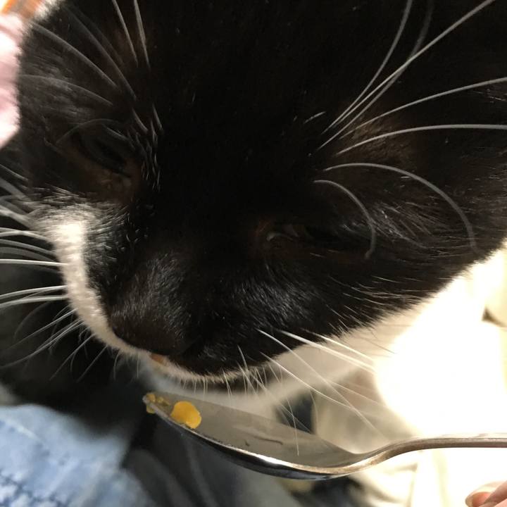 Be01925a ce07 443b 983b 6ba5106ef785 1578403566772