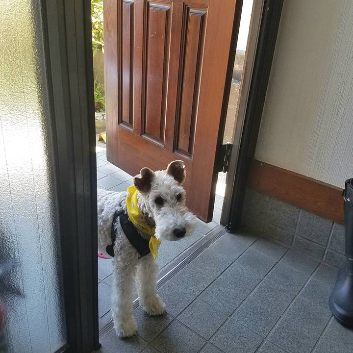 Be01c911 2f7a 427e 8cea 788fb80918e6 1555728758831