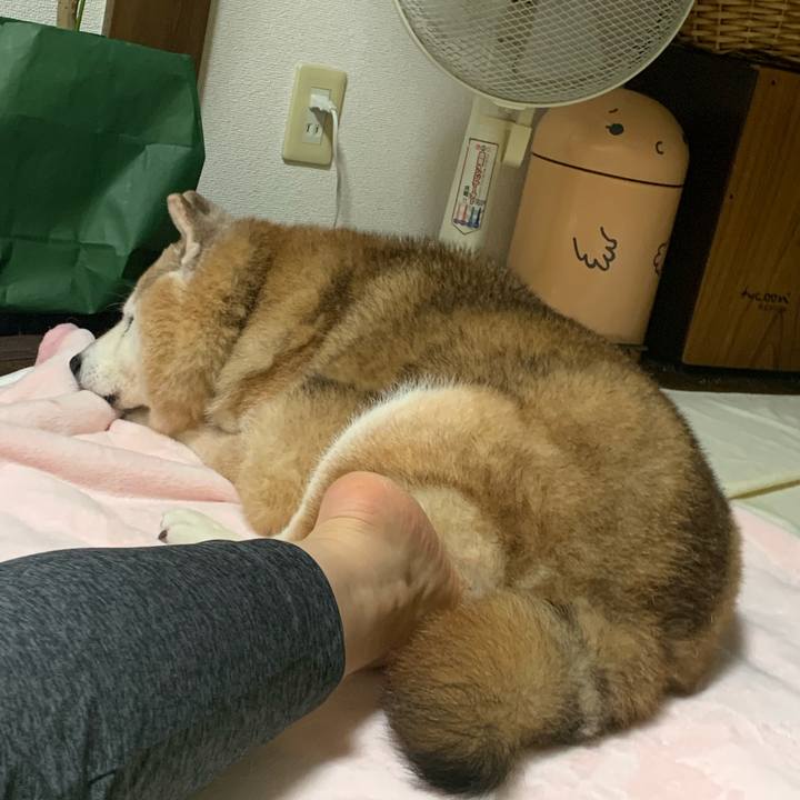 Be023a5f 94cd 42b4 9b28 c2ac3c53be1b 1690207147905