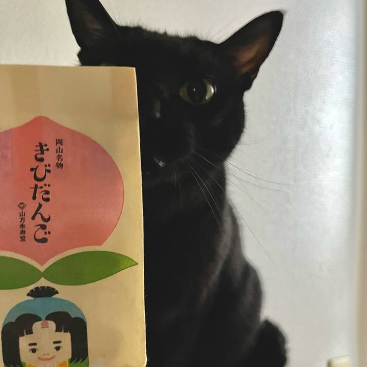 Be023eb8 06ce 4fae b28a c7a40b1339a3 1693786407986