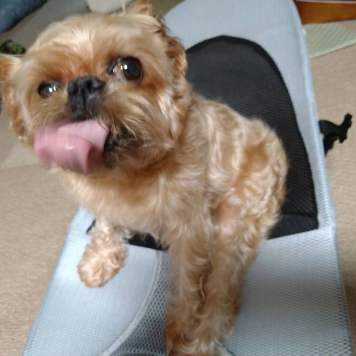 Be025b33 cc17 4975 9434 3ada79594578 1633159254080