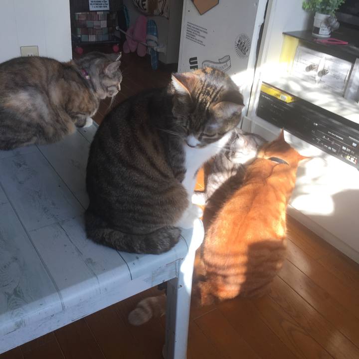 Be0270e3 f2d2 45b0 90f0 6a5361fe94b5 1547614638453