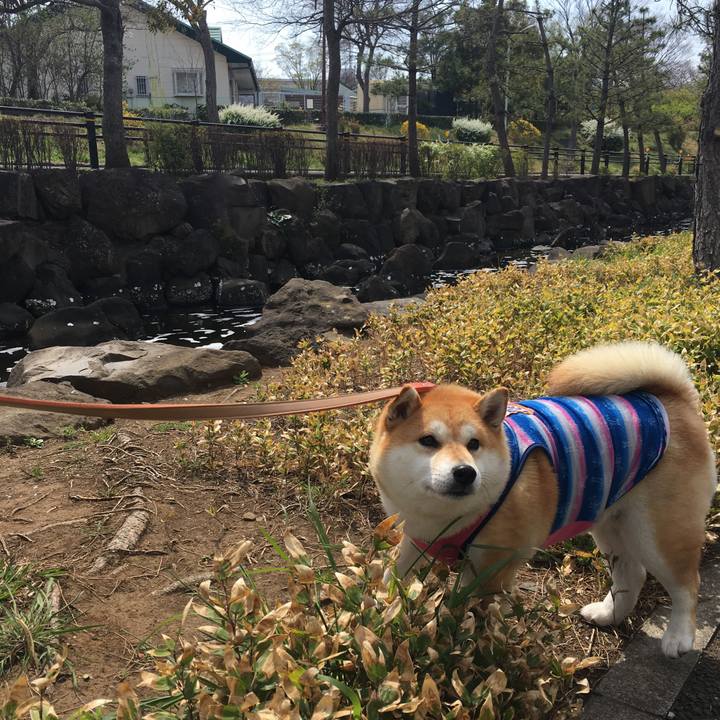 Be027d4e 5abd 4458 9576 ccf8d9dec91a 1553488476215