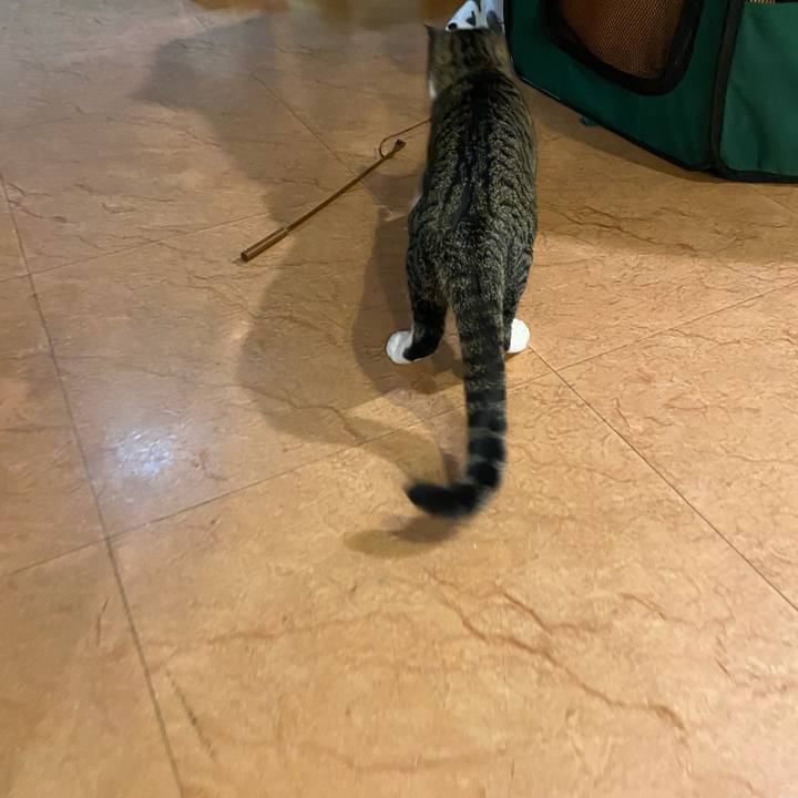 Be027f73 8a2c 4d0b b99b 4d75ad2c0214 1637228804664