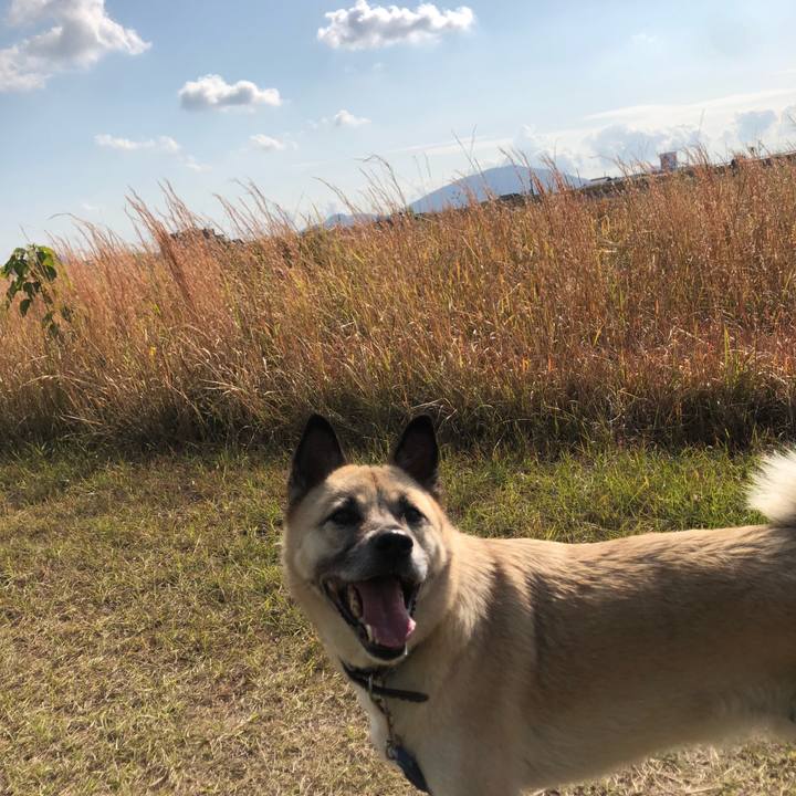 Be02f909 881a 4058 a054 5f88668dcbff 1636879686281