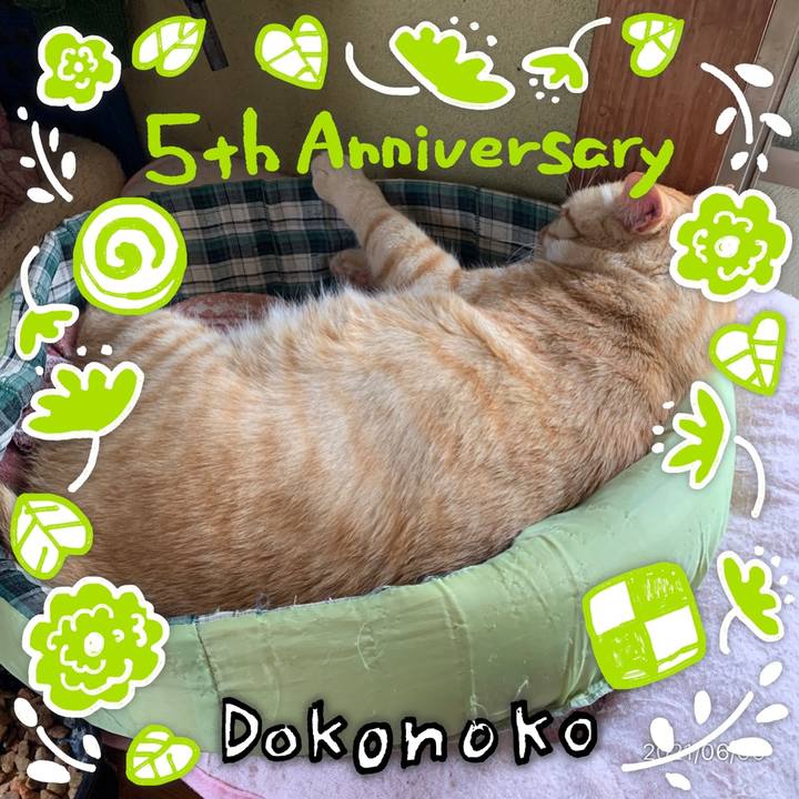 Be030416 ef2d 4c9d a651 b8b463a6bb0c 1622861915800