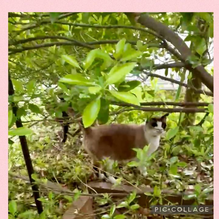 Be03077e b1ff 4734 a262 ee080f8940ec 1744855531055