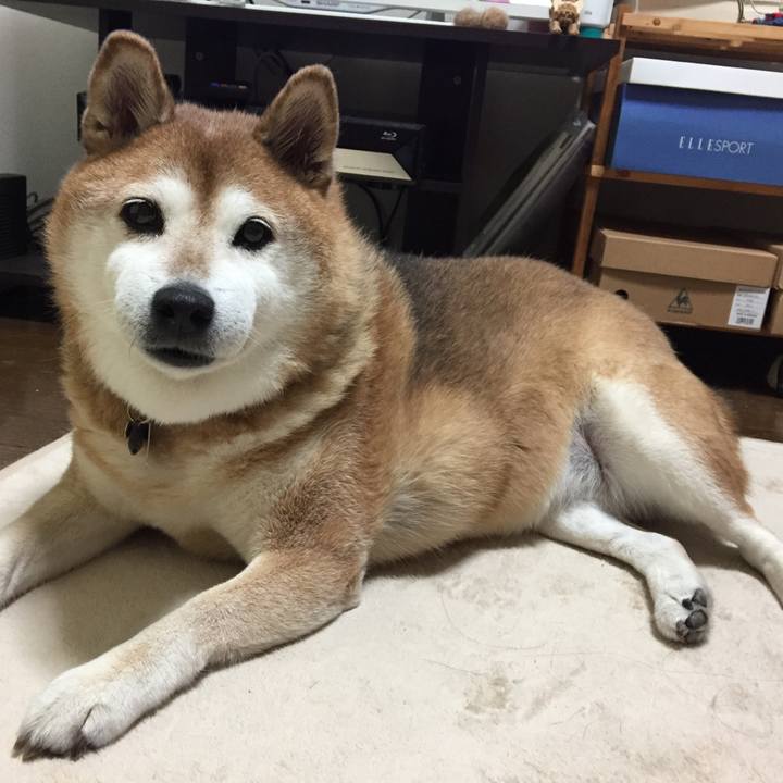 Be031242 c284 4899 8bed d40be36947eb 1539171626942