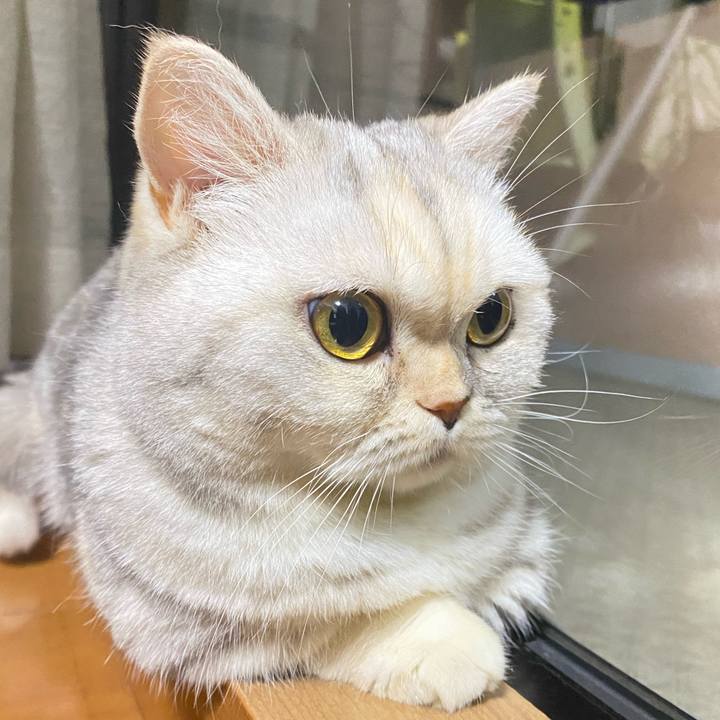 Be032a59 1d00 464e 9cad 6e580dd6efd5 1754303943904