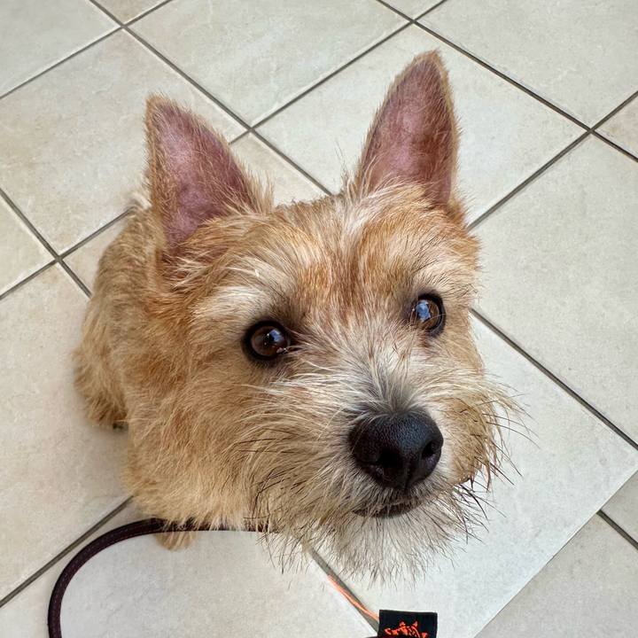 Be034f74 02fa 43ea a596 16cf3cbf54f2 1725528241462