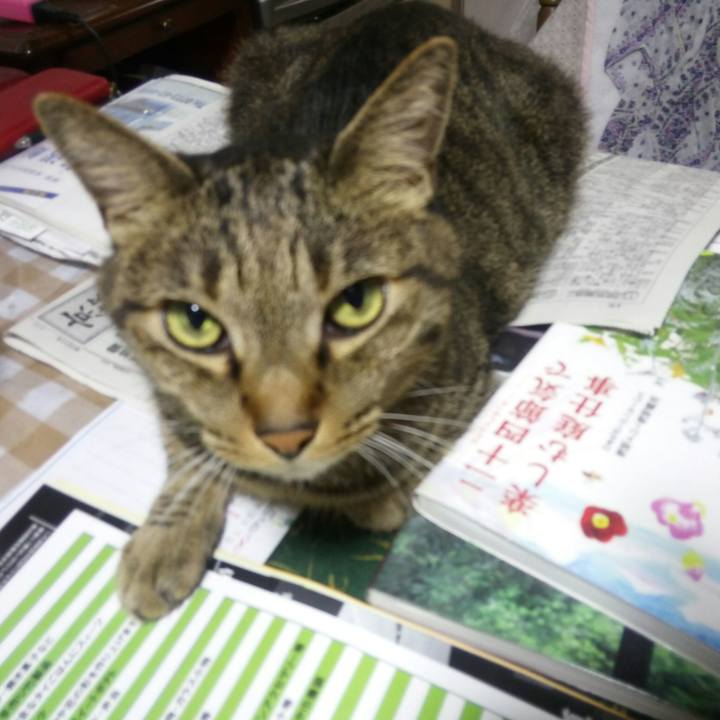 Be036554 7320 47ff 9ca2 57249a66f08d 1536483275012