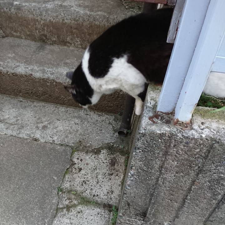 Be036fb3 1642 454f be7f f2950a9f90d7 1649752359645