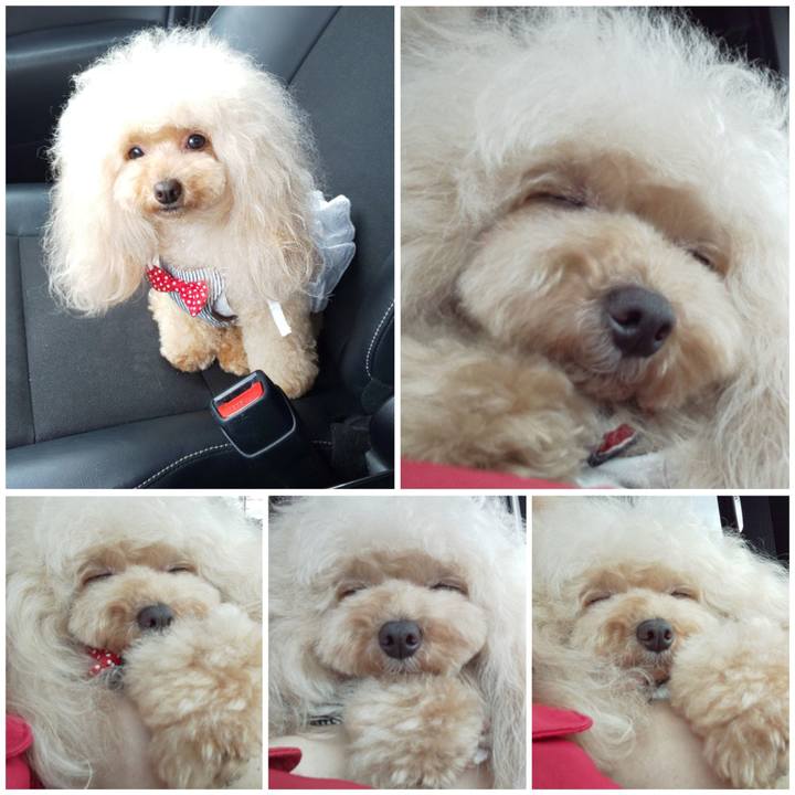 Be037099 9e48 474c 9c20 177557b6229e 1596980338259