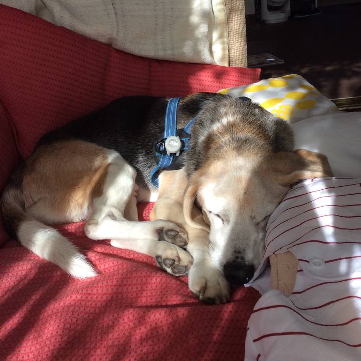 Be038634 6449 4e7a a284 b91df35978d9 1614057269650