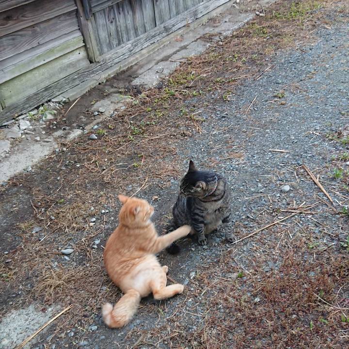 Be03b1c2 fc90 422d ad19 79eee5928962 1657659340445