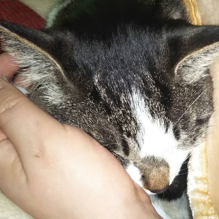 Be03f259 761a 4657 8e5d a76e9c130fb3 1609029229994