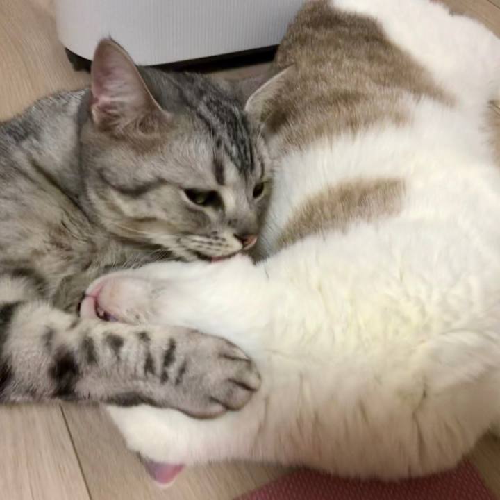 Be03f4fb 4eff 49c1 8eb1 32e6d00f450f 1519769347081