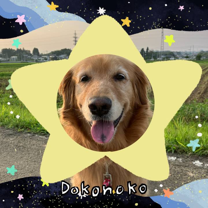 Be040623 1fe2 4a28 b756 104076e3d0c1 1721033840815