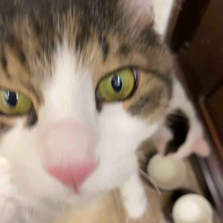 Be040b8e 88a6 406a 9213 6f69e7e40a2e 1738105689835