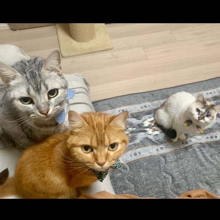 Be0419bd bb1e 442a 88e1 680e7fbc9511 1572262348075