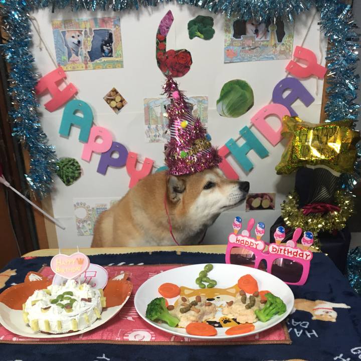 Be0422cb ab39 432f a416 01119ae6b644 1605043802812