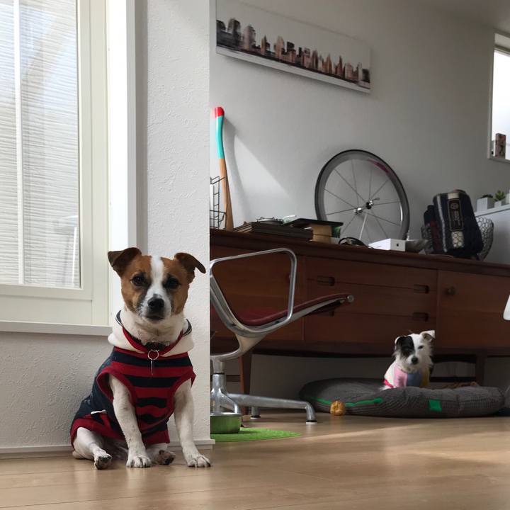 Be043305 9e18 48b2 8c25 afbdaab410d2 1510883547747