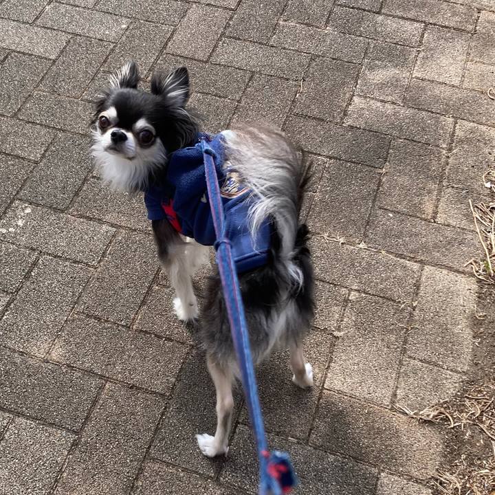 Be0436d0 6879 4c5d a880 69a1c5e04a9e 1708189979296