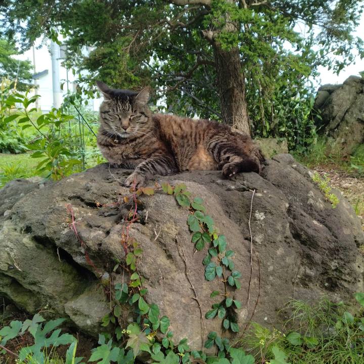 Be045ac4 b6e4 435e b342 b95812233021 1720692955382