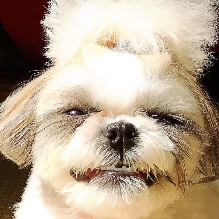 Be045e9b 17ab 471b 9957 3ee64a1ff851 1536638408136