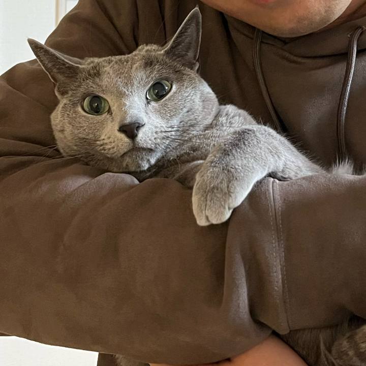 Be048bc5 35a1 44de afe0 ccf2fa336c0b 1774686160306