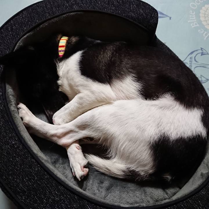 Be04b51c 9a8a 4ff0 9b82 bca54530159d 1519138931038