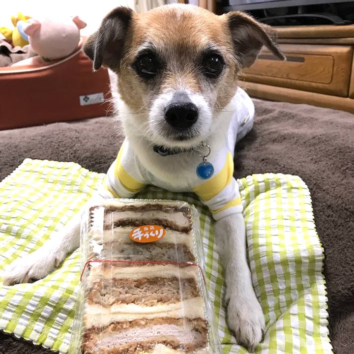 Be04f801 1018 4827 a9c6 3e3c6798a10f 1589859921004