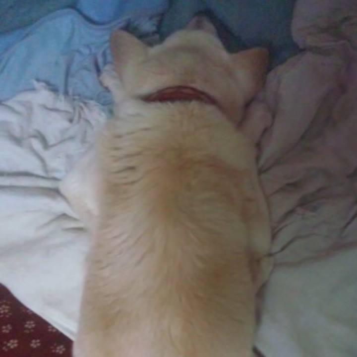 Be050f07 972c 4236 8ecc 16521c31c103 1517328473645