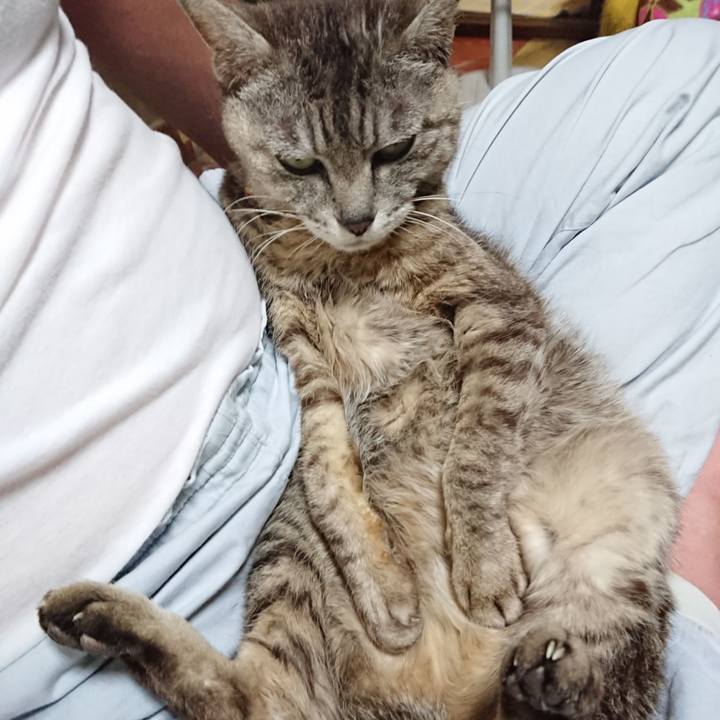 Be050f16 0a86 4f6d 85c0 d0f7df4a4177 1562076191033