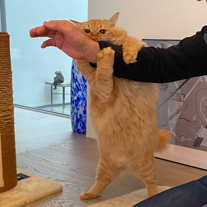 Be052937 736f 4e53 a3bc 47b875599cb5 1765692075793