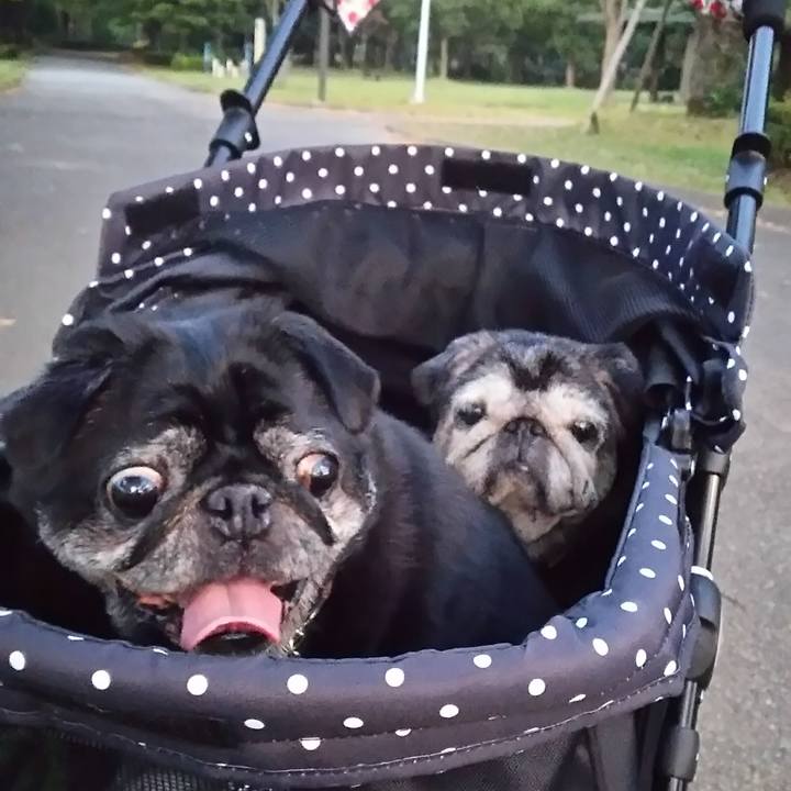 Be056311 b075 455b 9e13 61b6cd3b2c2c 1562941684282