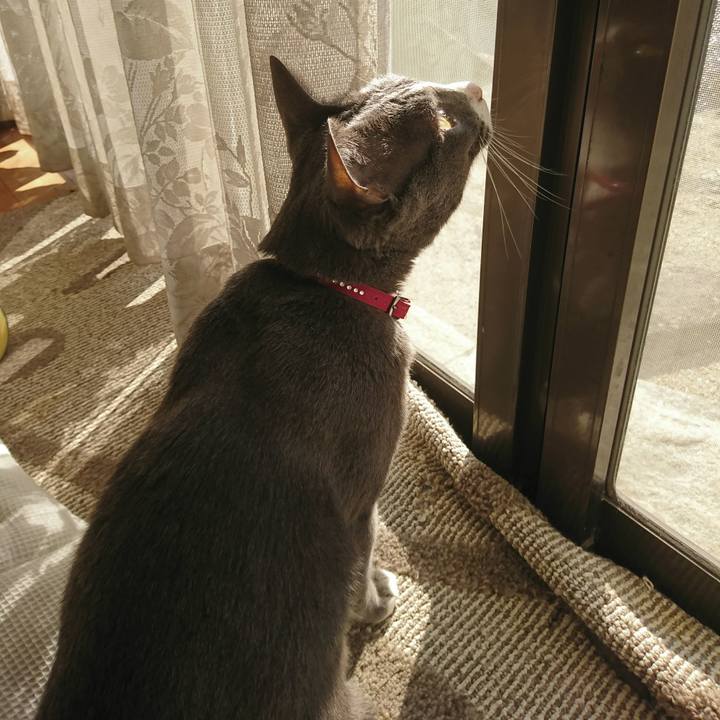 Be0563d3 adb6 49a0 a79a 357c6292723e 1508893338139