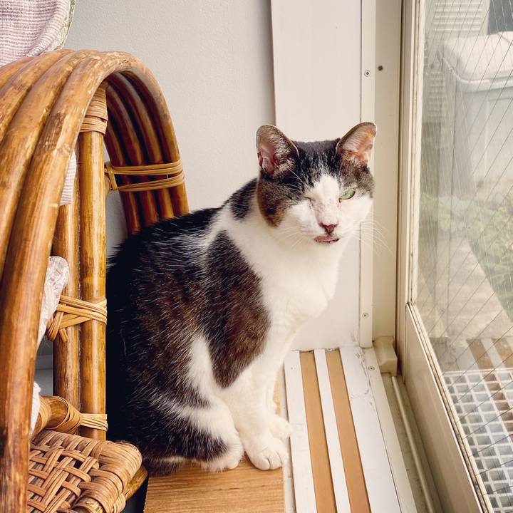 Be057981 5fcb 4c31 aad4 e1bdbc50732c 1593478832908