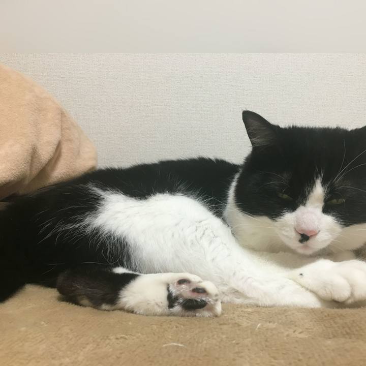 Be0591eb 3920 4065 860b 73a36c9176f9 1554026487874