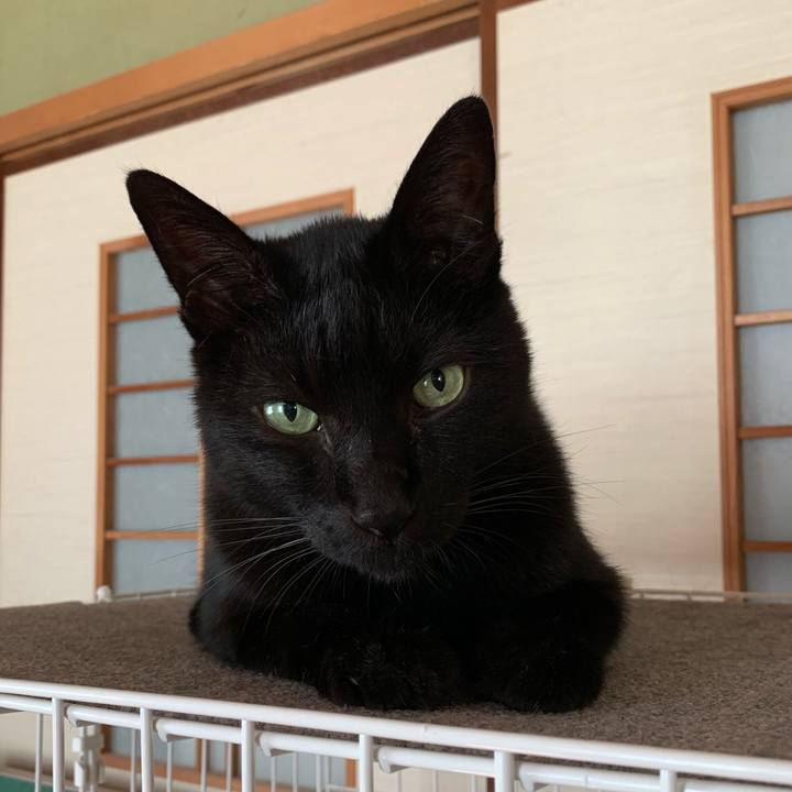 Be05c482 f703 4d4f 825b 7fa06a83dc98 1538962397978