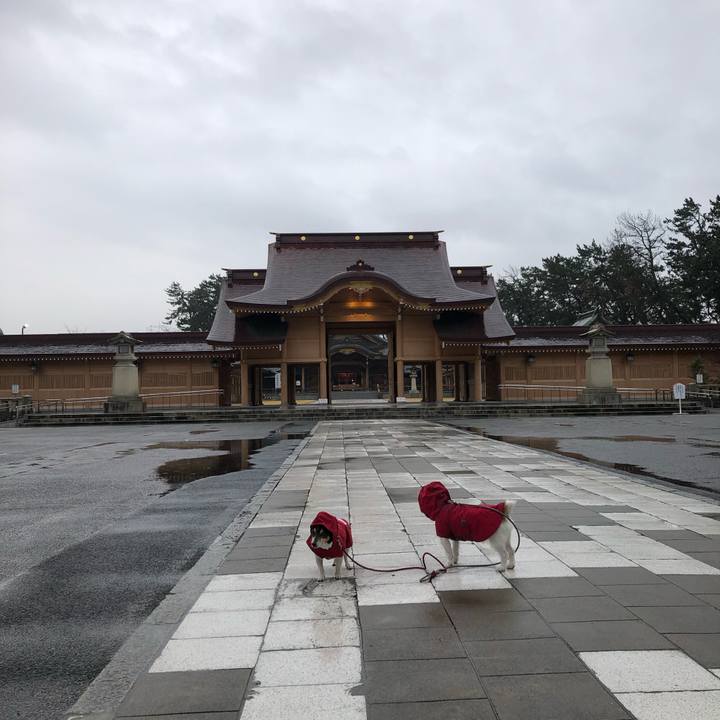 Be05cb17 884a 441f 85ca 343dde9d65bc 1582154443217