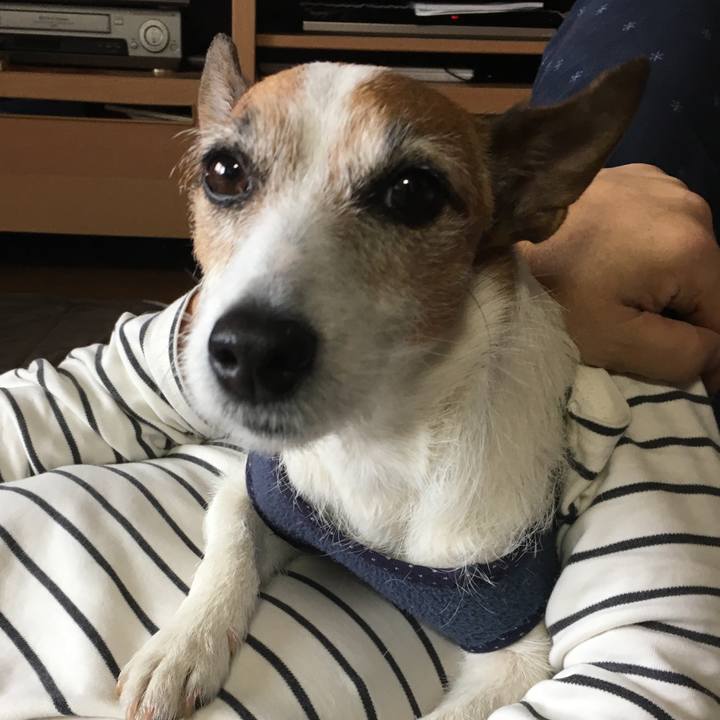 Be0623f9 233e 4a59 9341 cdb073fefff9 1556582933454