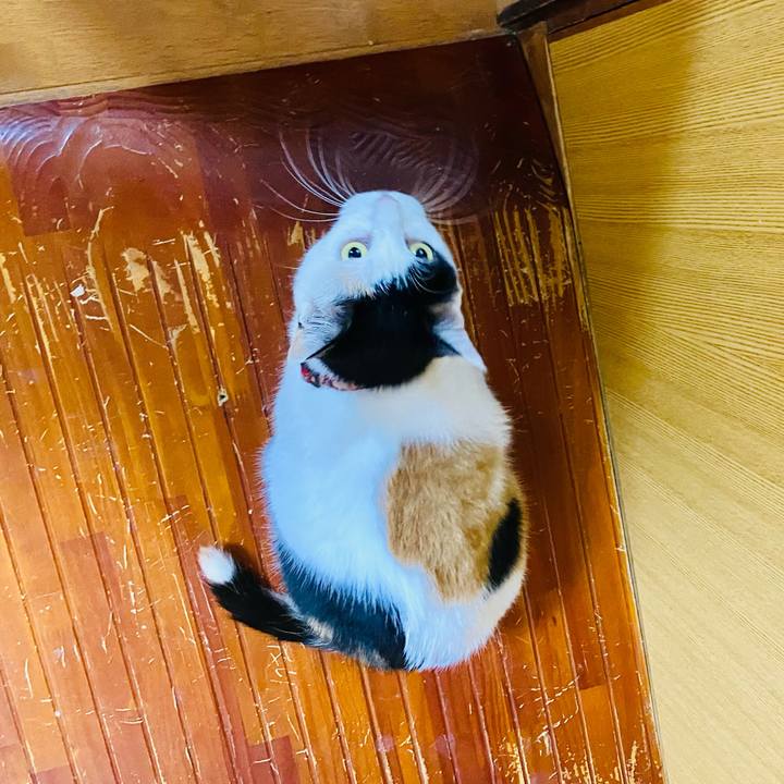 Be06426e 1f3a 453a 9107 ca5b9a0df412 1658925630969