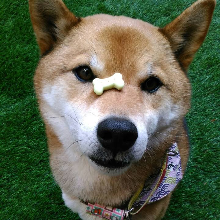 Be067f7d 5011 40d4 b38e 5adcb04a52d2 1521702172813