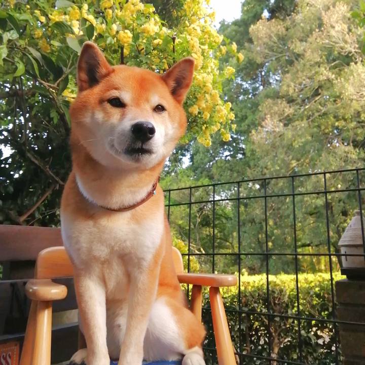 Be068ef7 f6bd 4d2e 9c86 0f702200df25 1681372754476