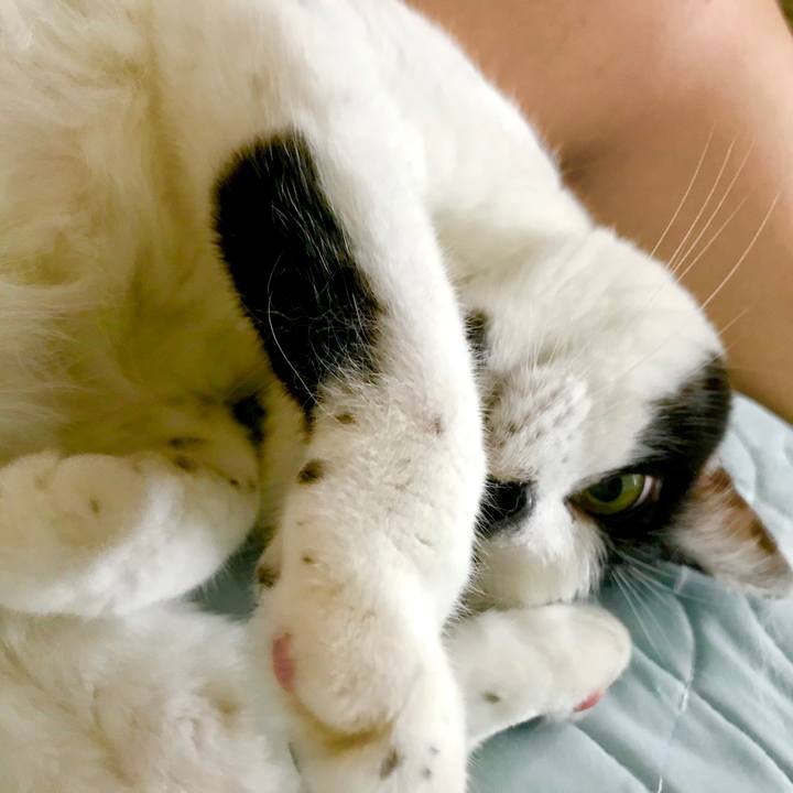 Be06c095 fcb7 4b8c 9913 8c2f3b2966bf 1593587711141