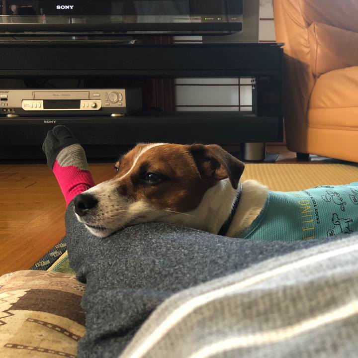 Be06c1b5 995a 4302 9d88 0ccaa6e46dbd 1528953161245