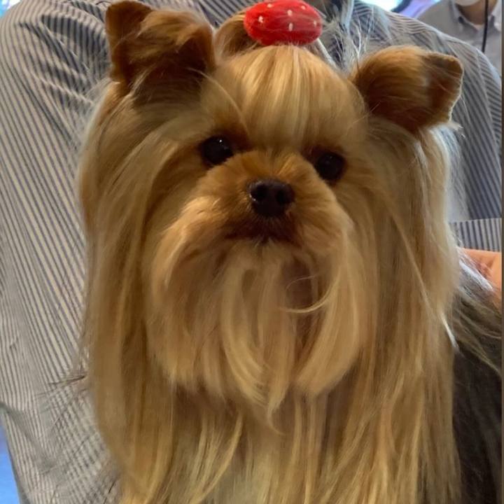 Be06d323 2582 413d 831b 6c72c70be3a4 1677330851784