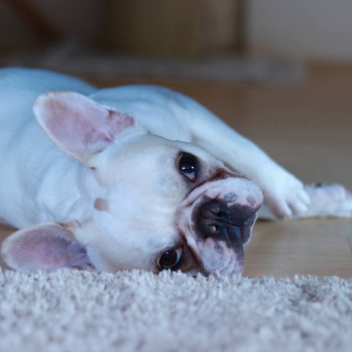 Be06d7fd 49ca 43a5 9896 1415faac8087 1558834531289