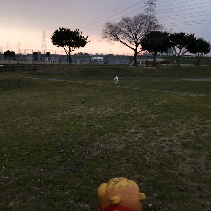 Be06ded9 f6a9 4135 8ad0 4ebf52dd2b40 1579510232369